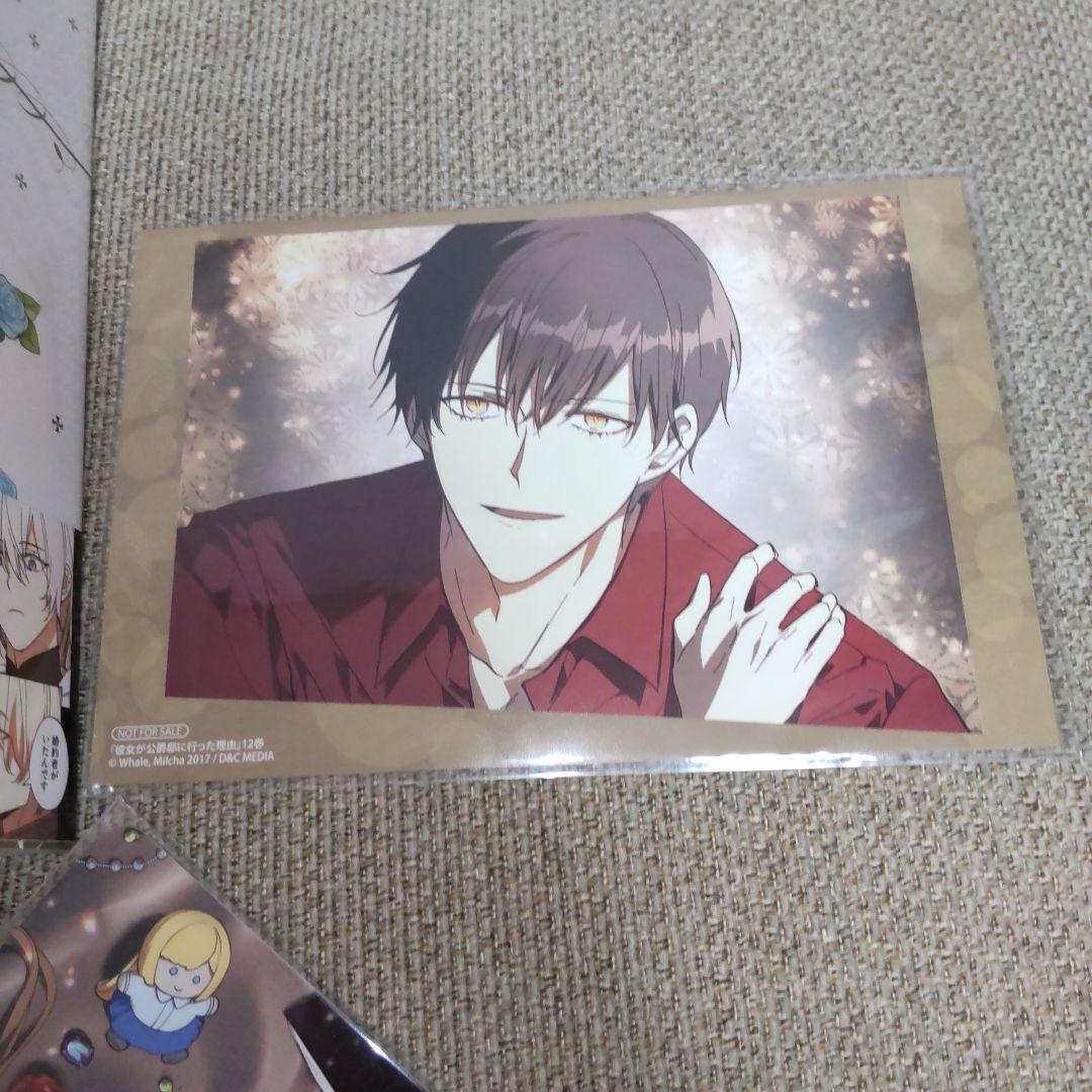 彼女が公爵邸に行った理由 1〜14巻　完結全巻