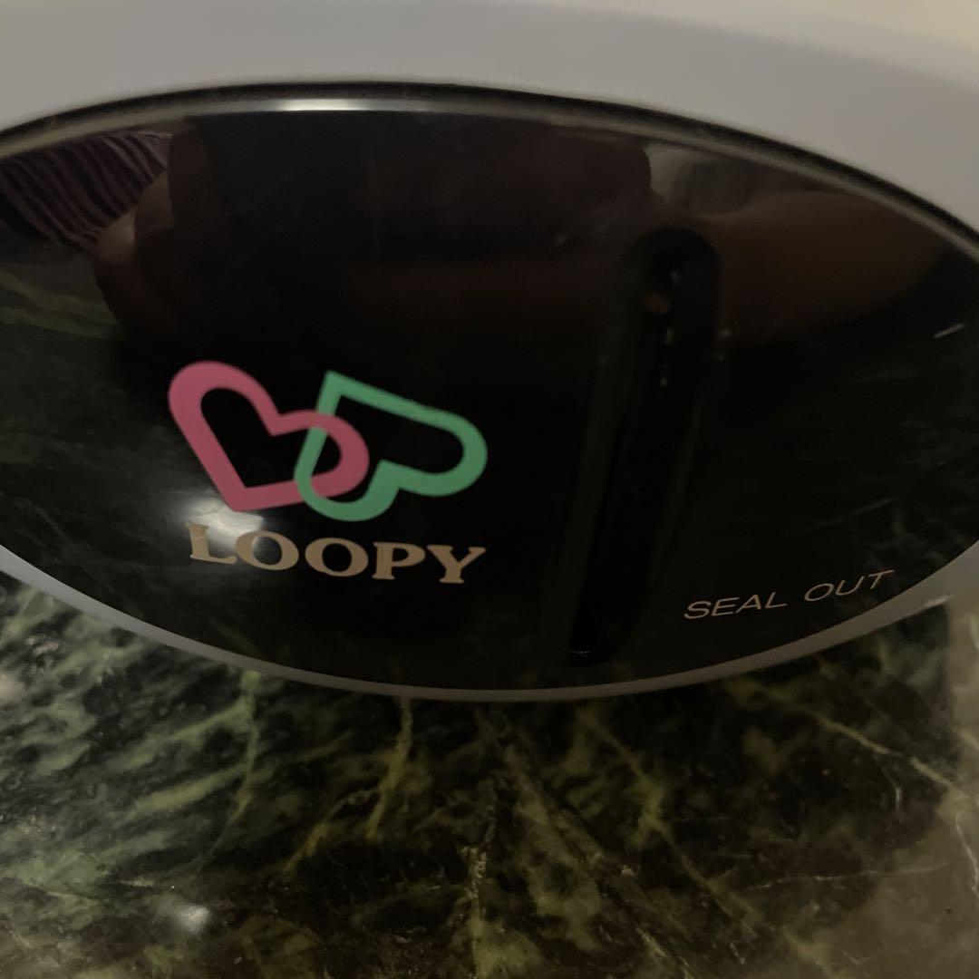 CASIO ルーピー LOOPY SV-100ジャンク品本体のみ