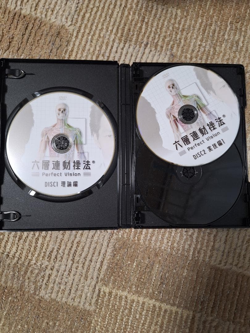 六層連動操法 Perfect Vision DVD