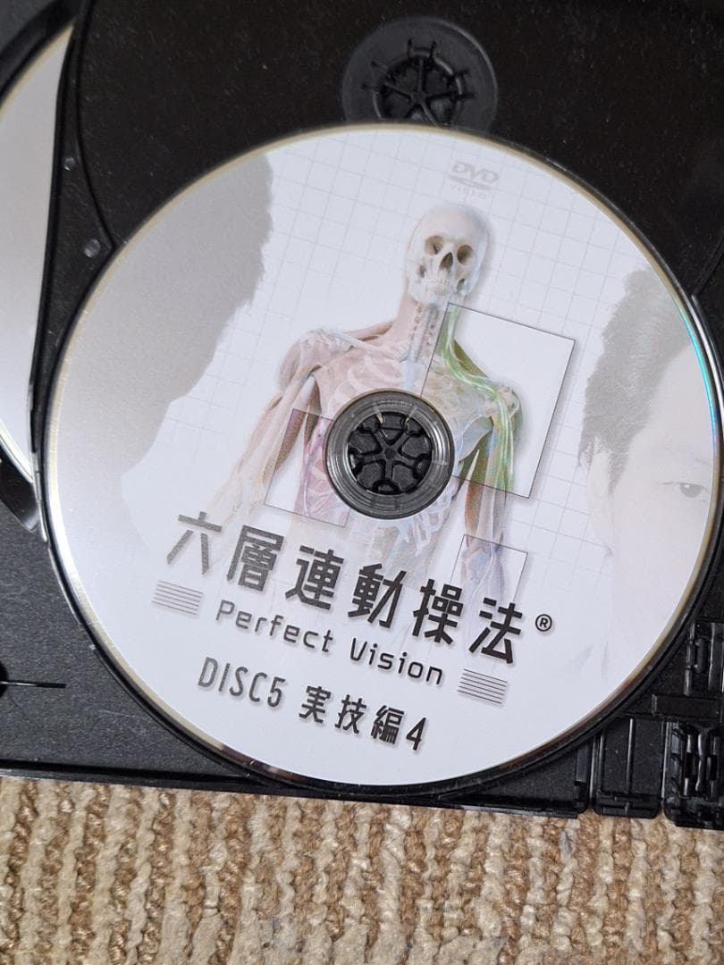 六層連動操法 Perfect Vision DVD