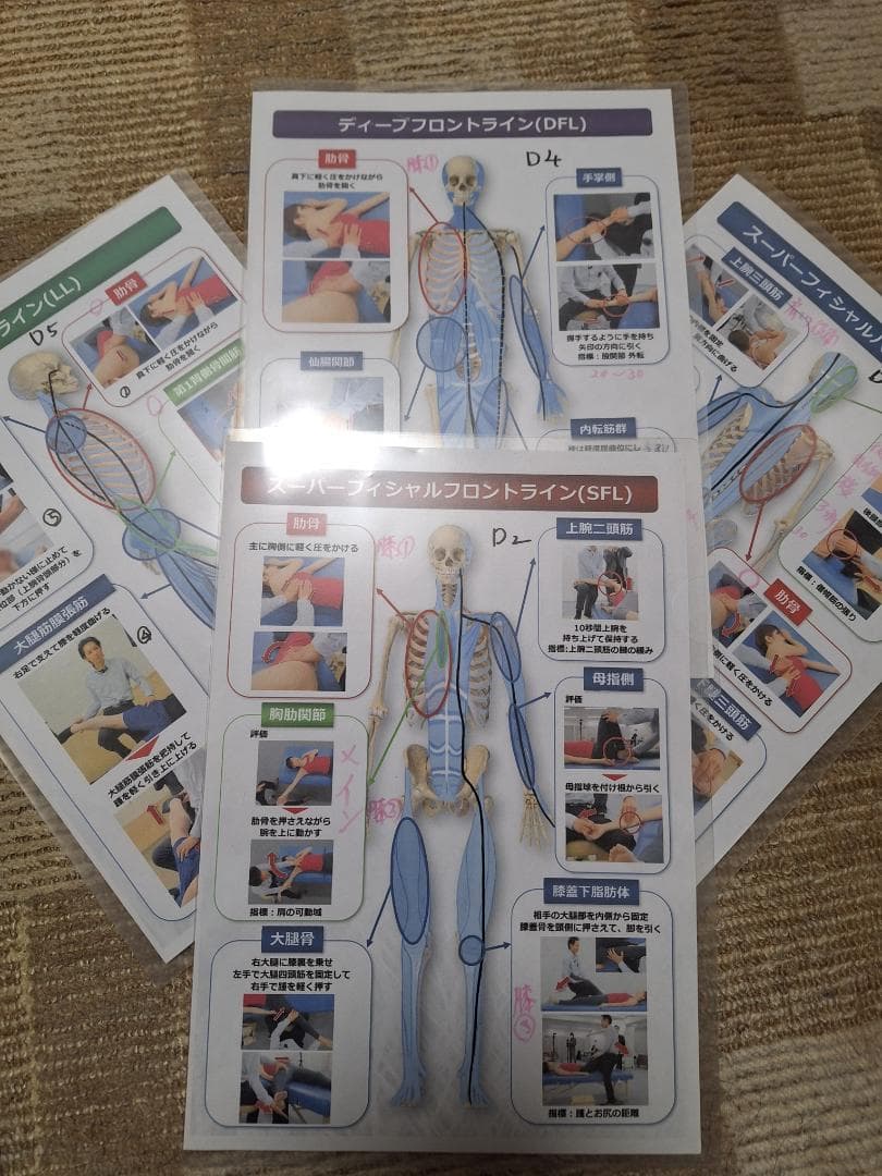 六層連動操法 Perfect Vision DVD