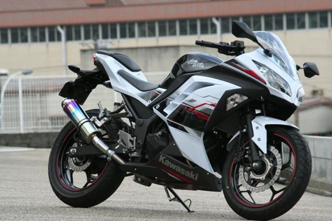 専用Realize ニンジャ250 Aria チタン (TypeC) マフラー