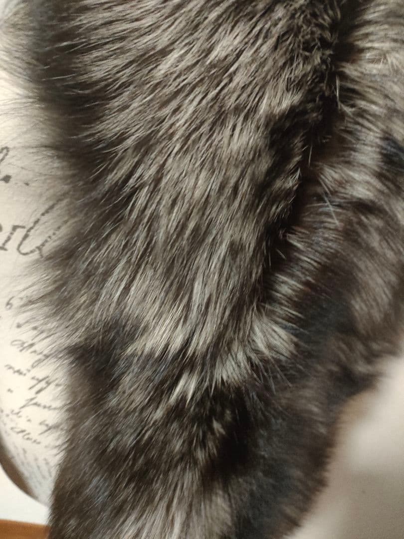 未使用保管品　アンフィニ　シルバーフォックス　襟巻き　マフラー　定価86万円