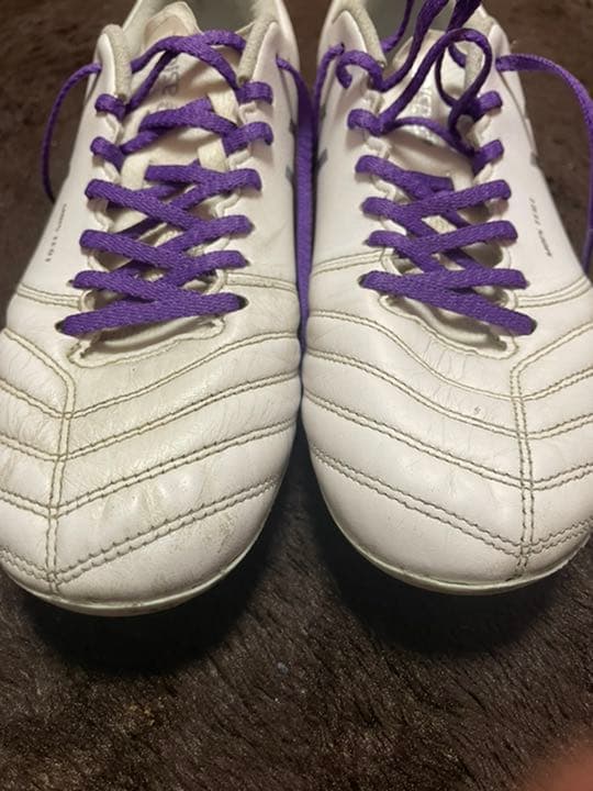 アシックス　DSライトX-flyPRO 25.5