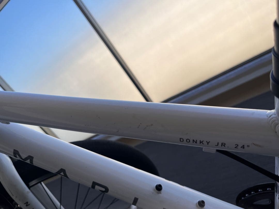 マリン　DONKY JR24 子供用自転車