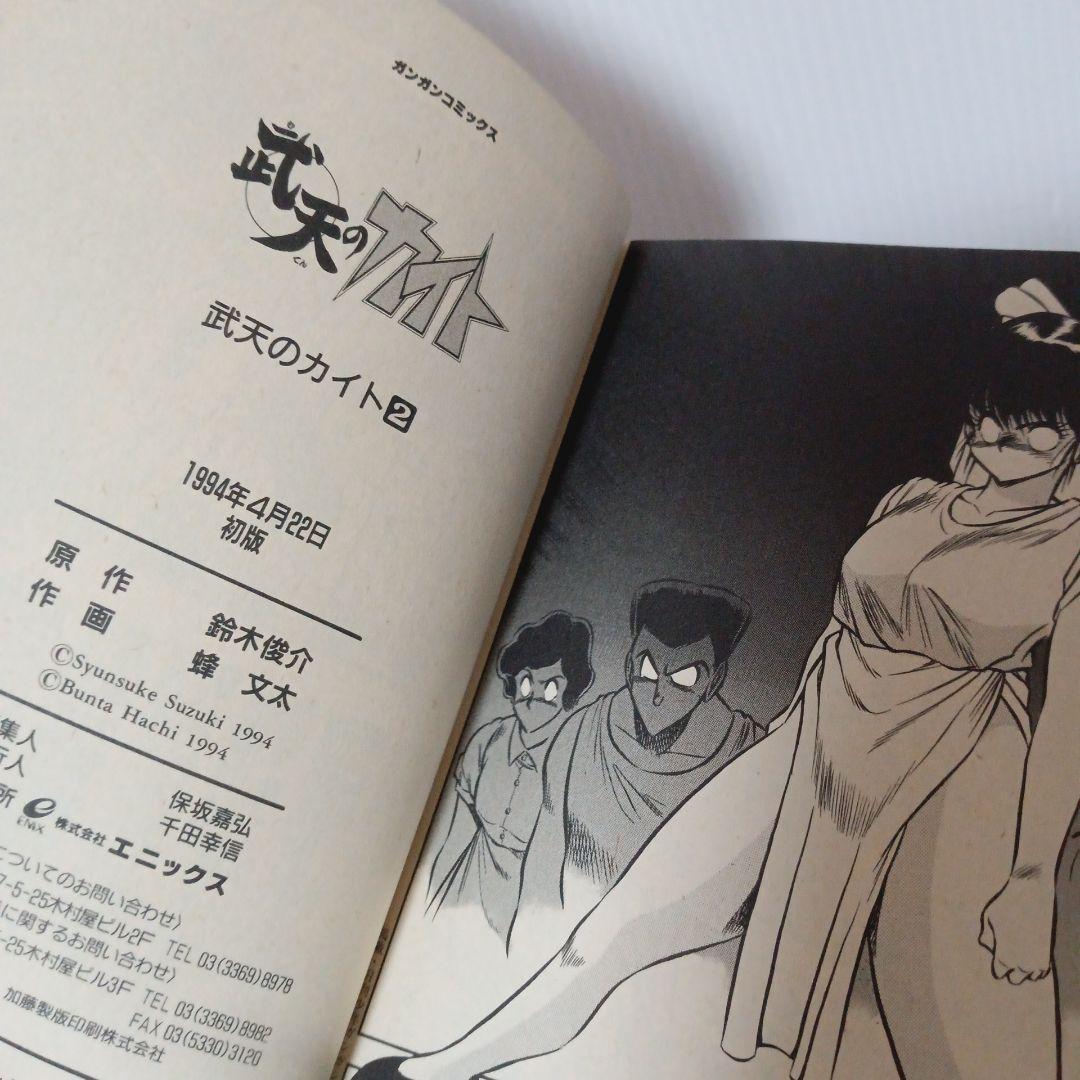 武天のカイト 2巻 初版 希少 廃盤 コミック マンガ 漫画 ガンガンコミックス