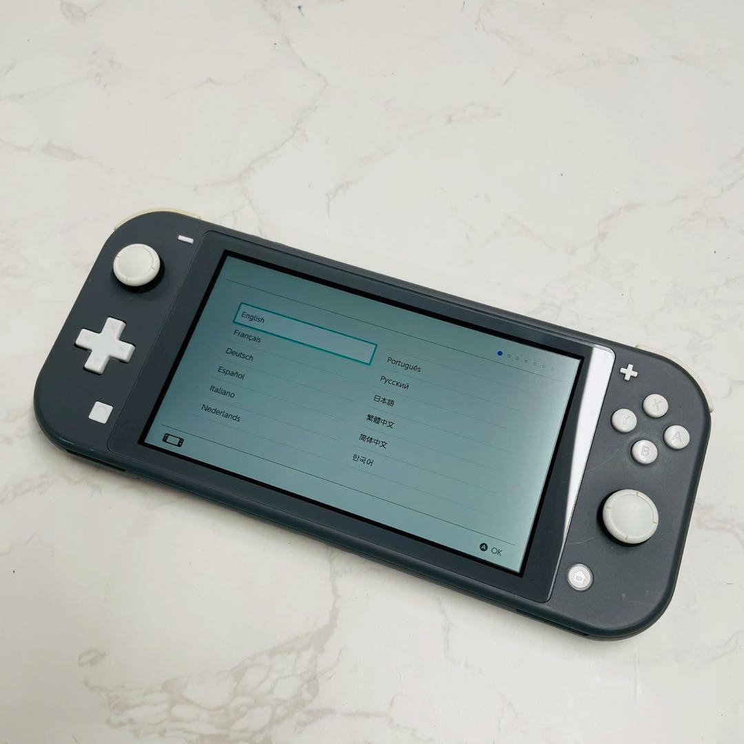 Nintendo Switch Lite HDH-001 グレー 動作確認済み