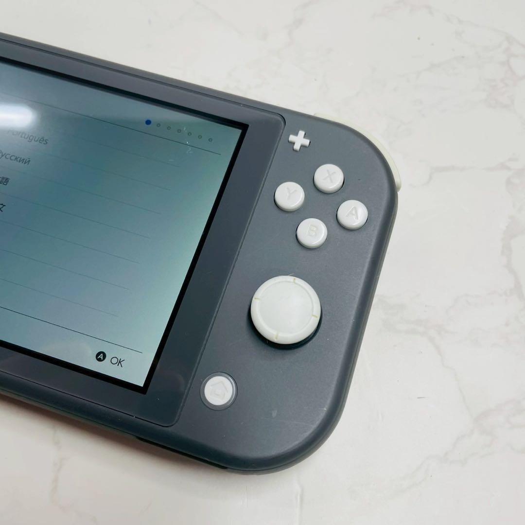 Nintendo Switch Lite HDH-001 グレー 動作確認済み