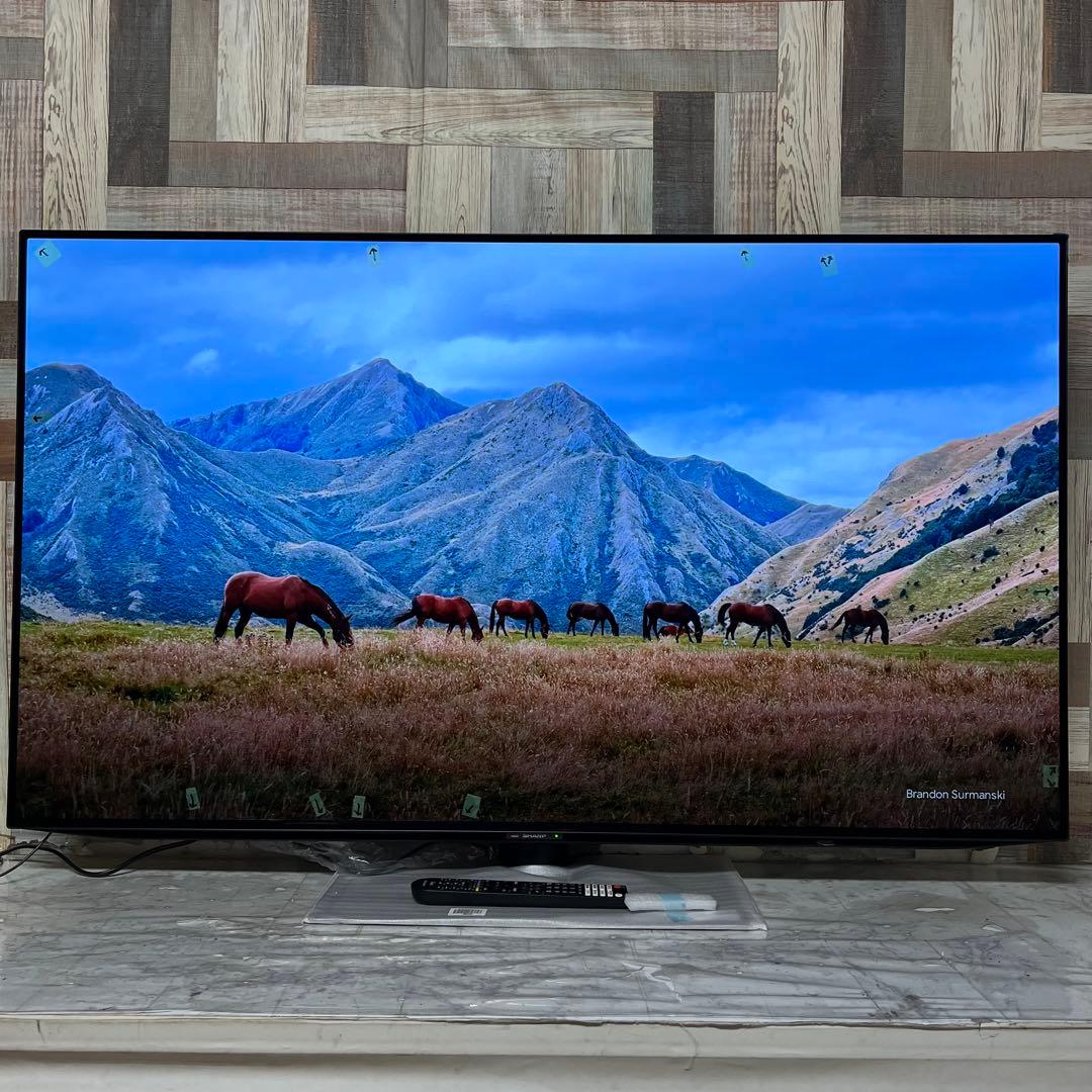 SUPPEさん専用未使用アウトレット品シャープ55V型有機EL4K Androi