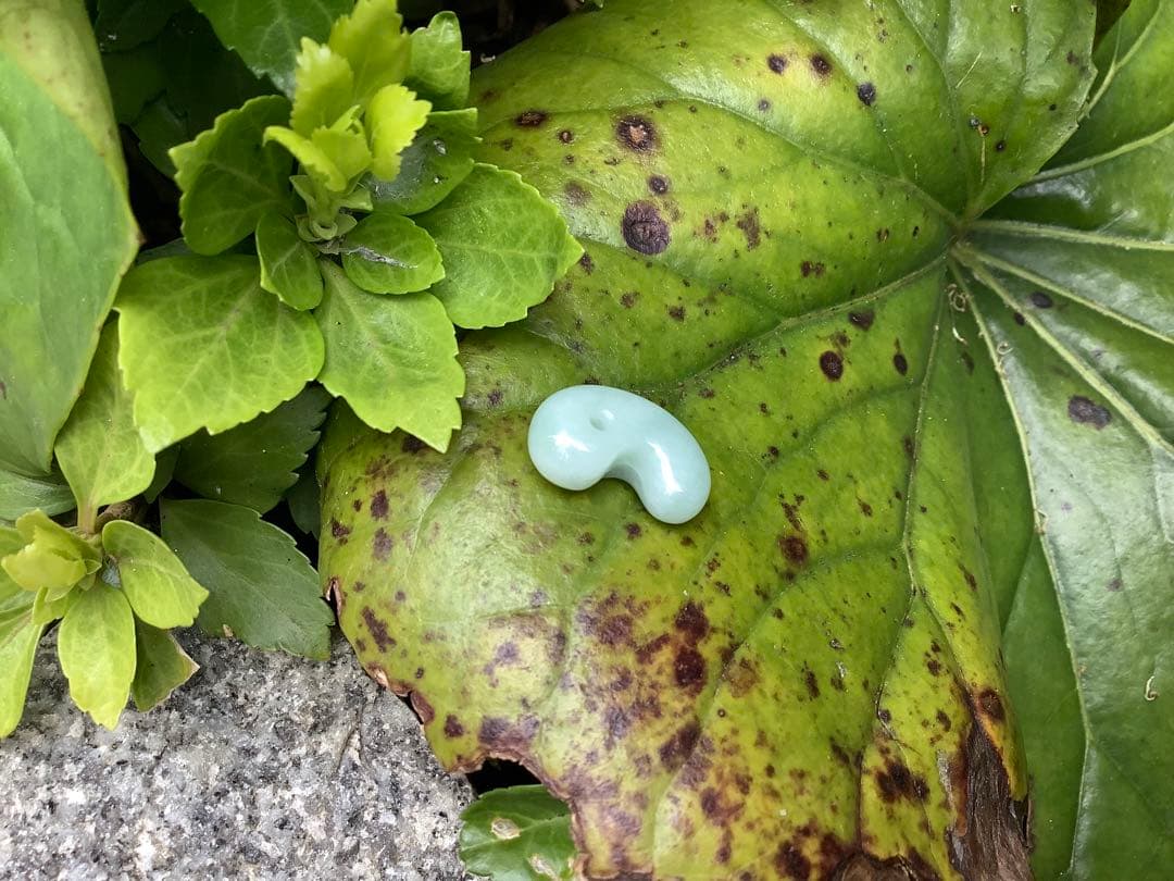 ✳本物の守護石をお身近に‼️ 出雲型糸魚川翡翠勾玉50万円以上の端材使用　鑑別書付