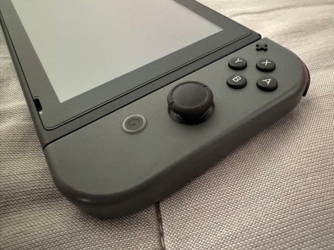 Nintendo Switch グレー マイニンテンドー版