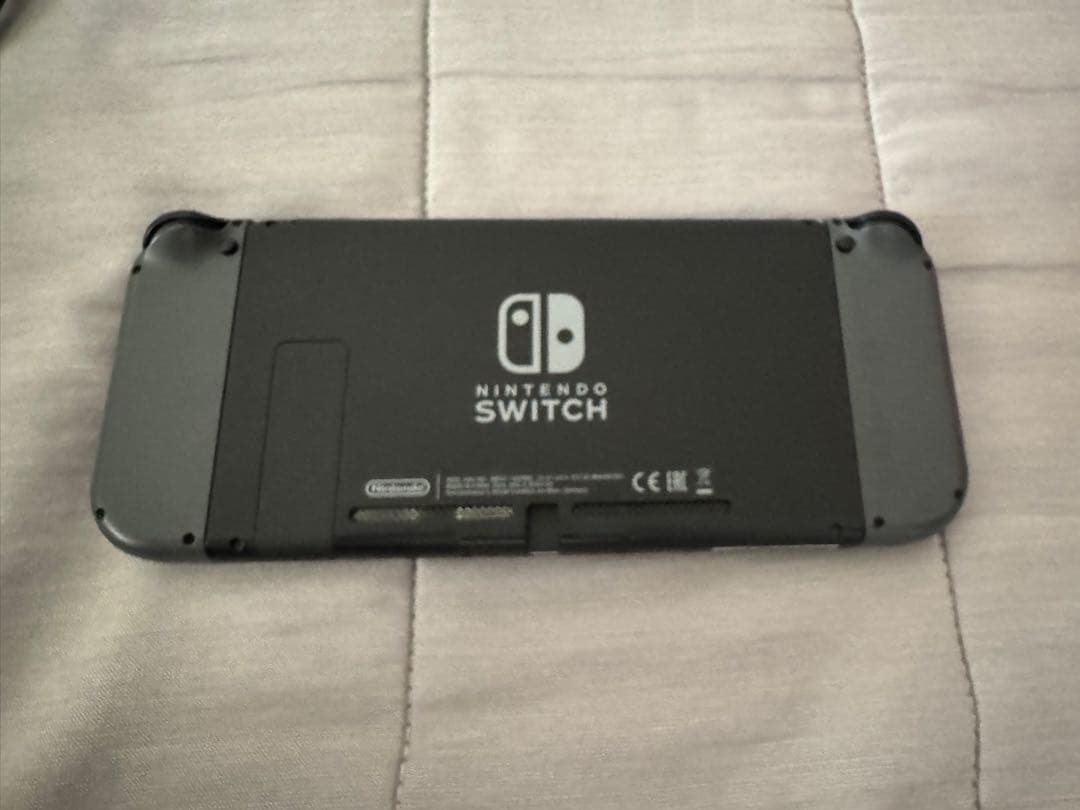 Nintendo Switch グレー マイニンテンドー版