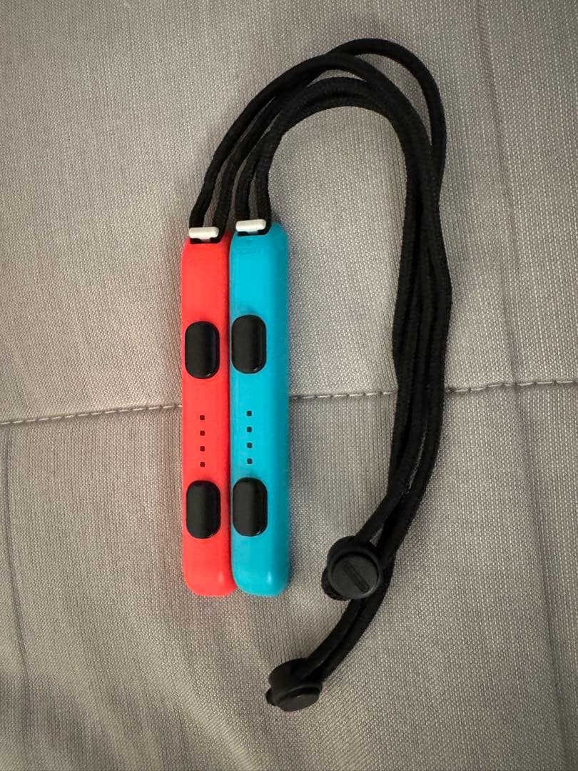 Nintendo Switch グレー マイニンテンドー版