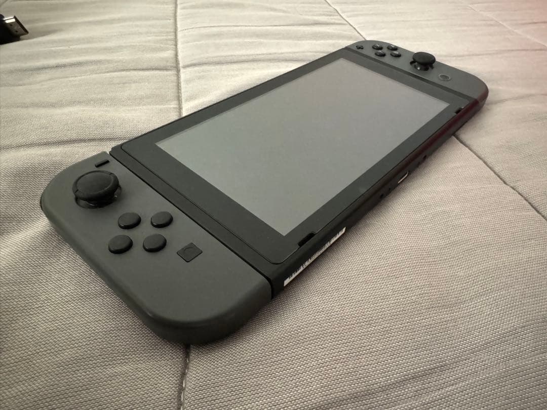 Nintendo Switch グレー マイニンテンドー版