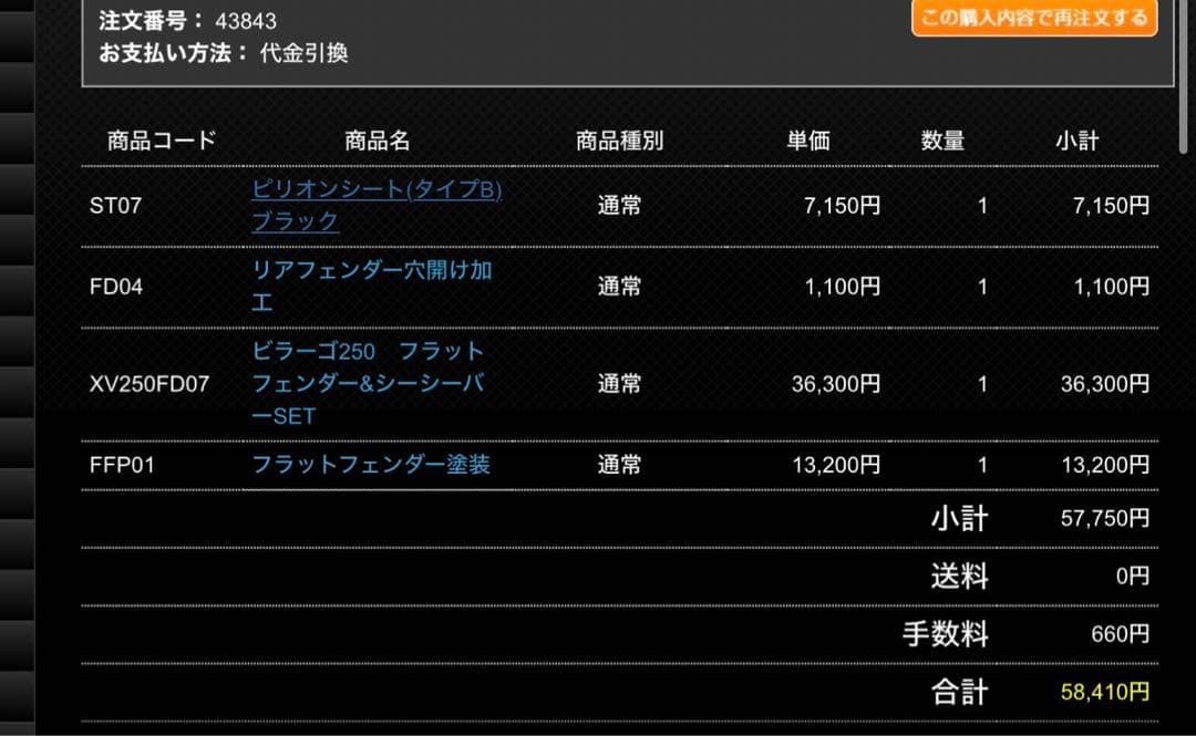 ガレージt&f ビラーゴ250 フラットフェンダー&シーシーバー&ピリオンシート