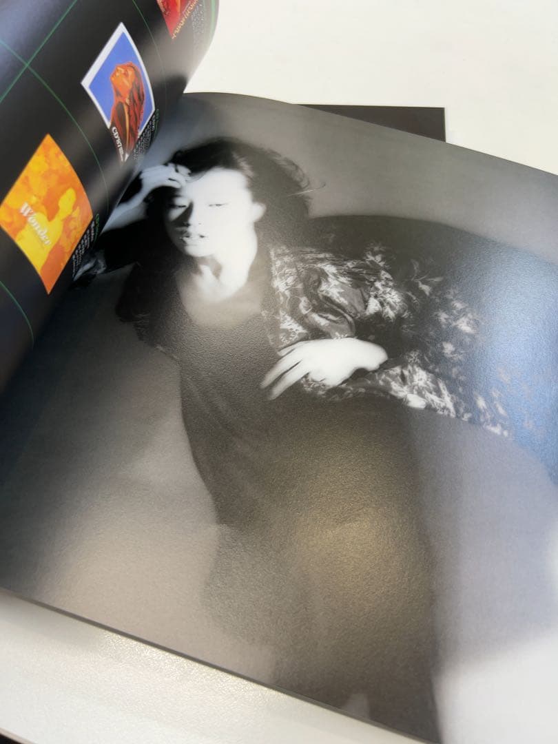 The Century of AKINA～WARNER 30th Annive…