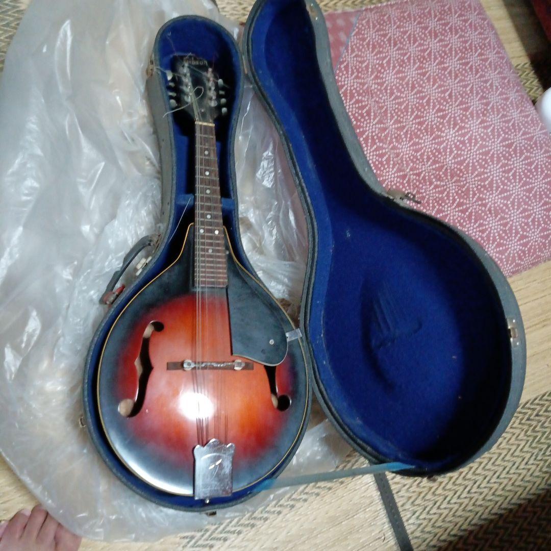 フラットマンドリン