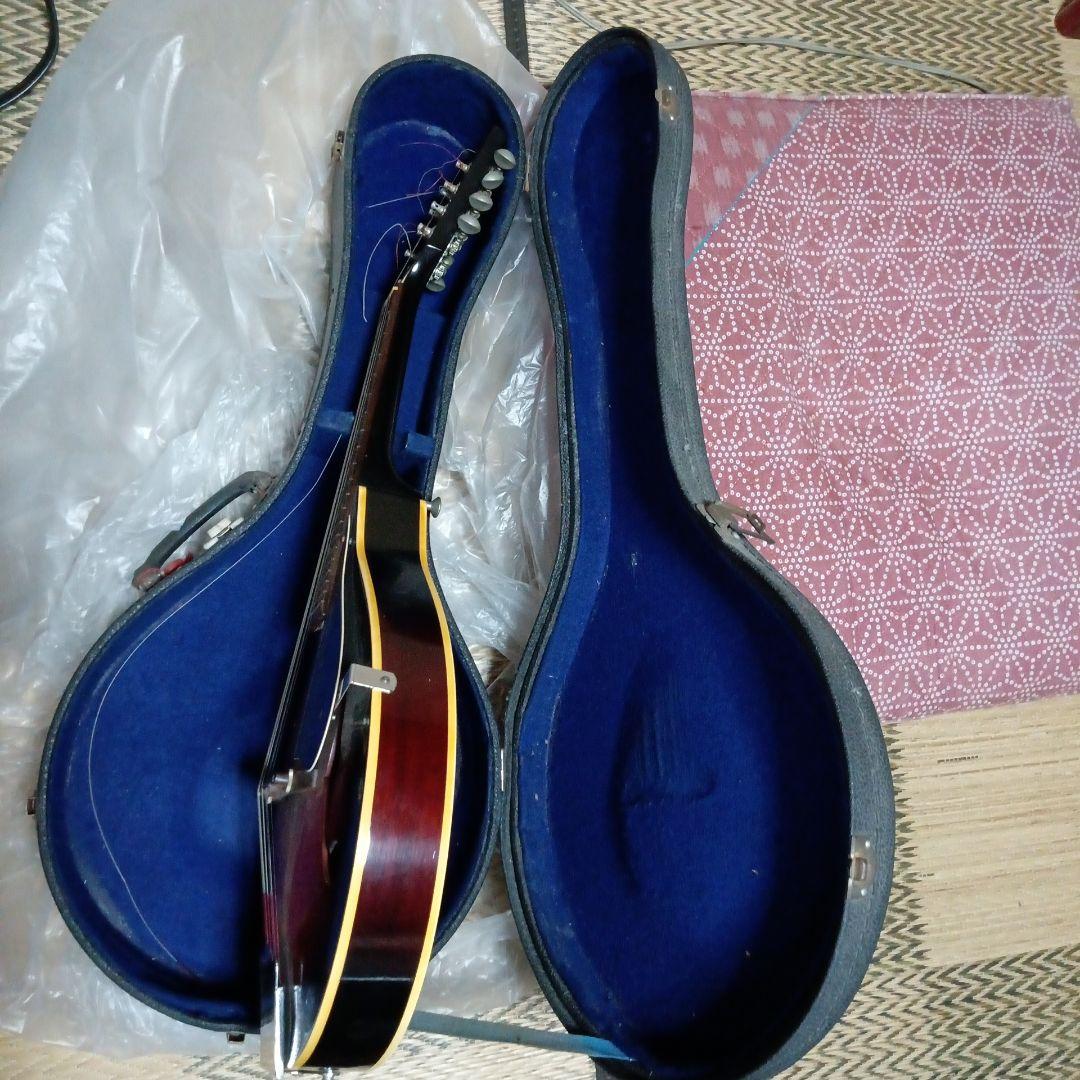 フラットマンドリン