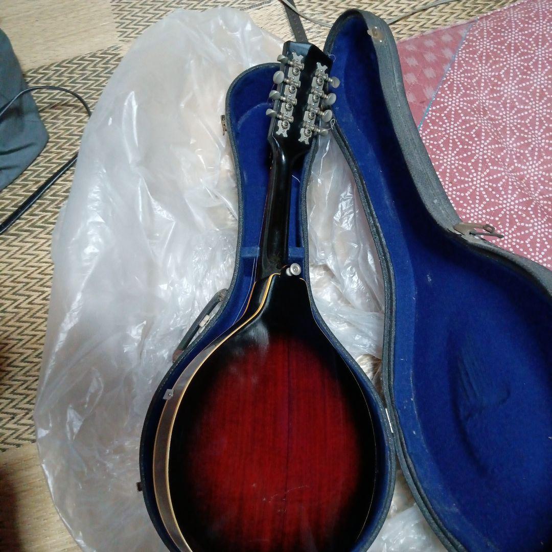 フラットマンドリン