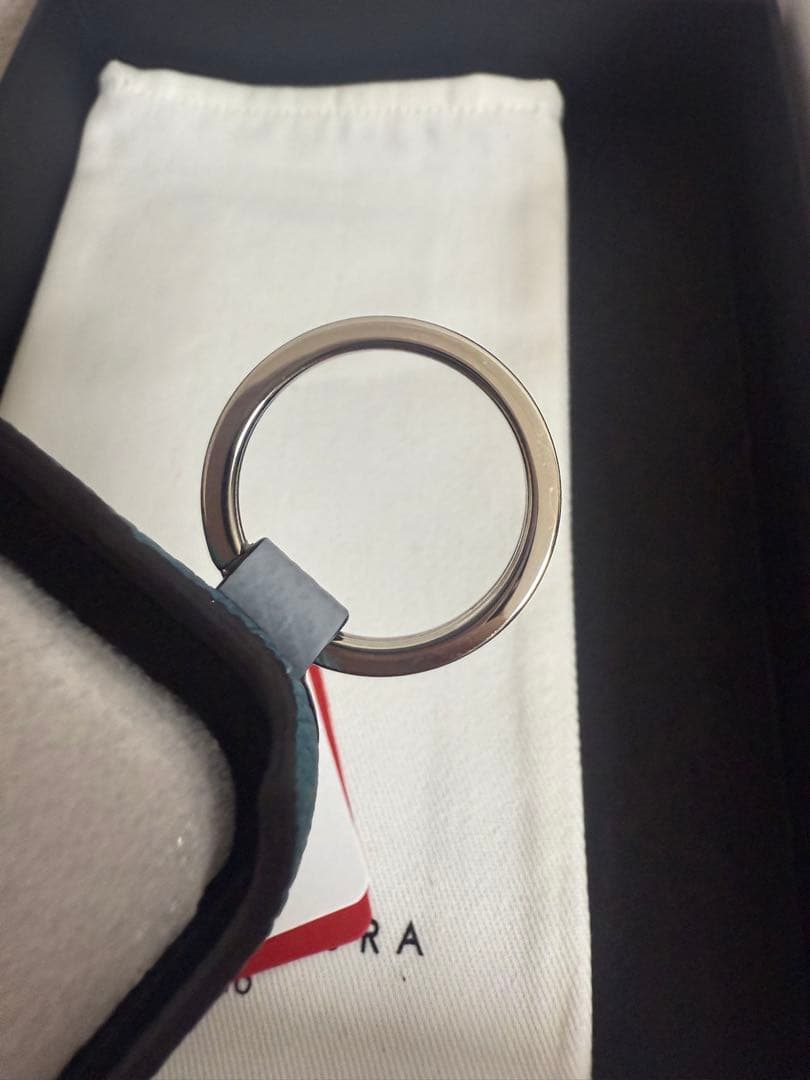 BONAVENTURA iPhone 16 Pro ケース　シアン✖️ブルーリン