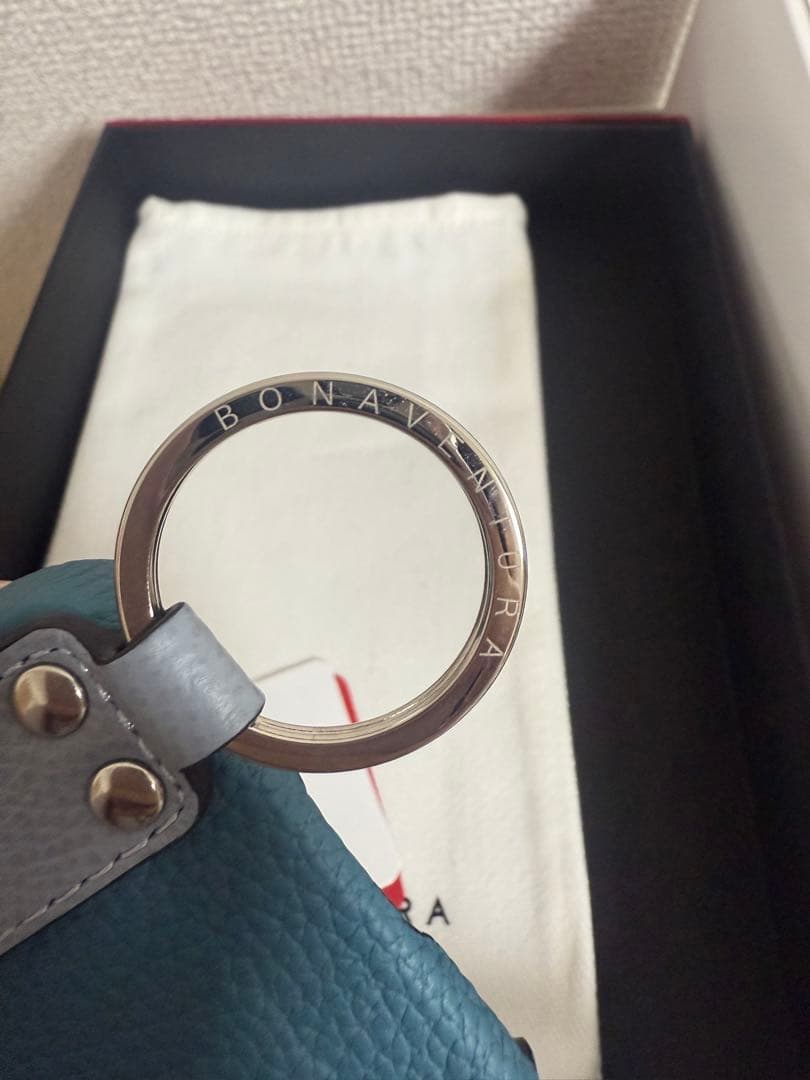 BONAVENTURA iPhone 16 Pro ケース　シアン✖️ブルーリン