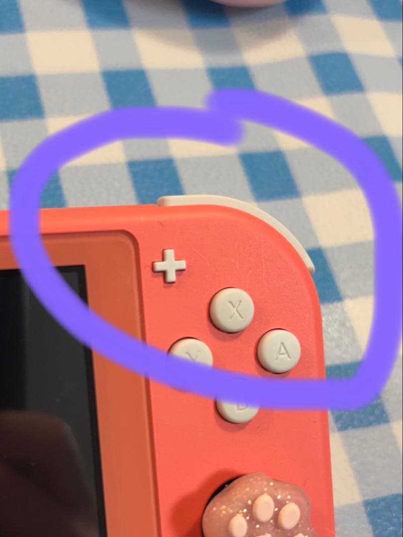 Nintendo Switch Lite あつまれどうぶつの森 しずえ アロハ柄