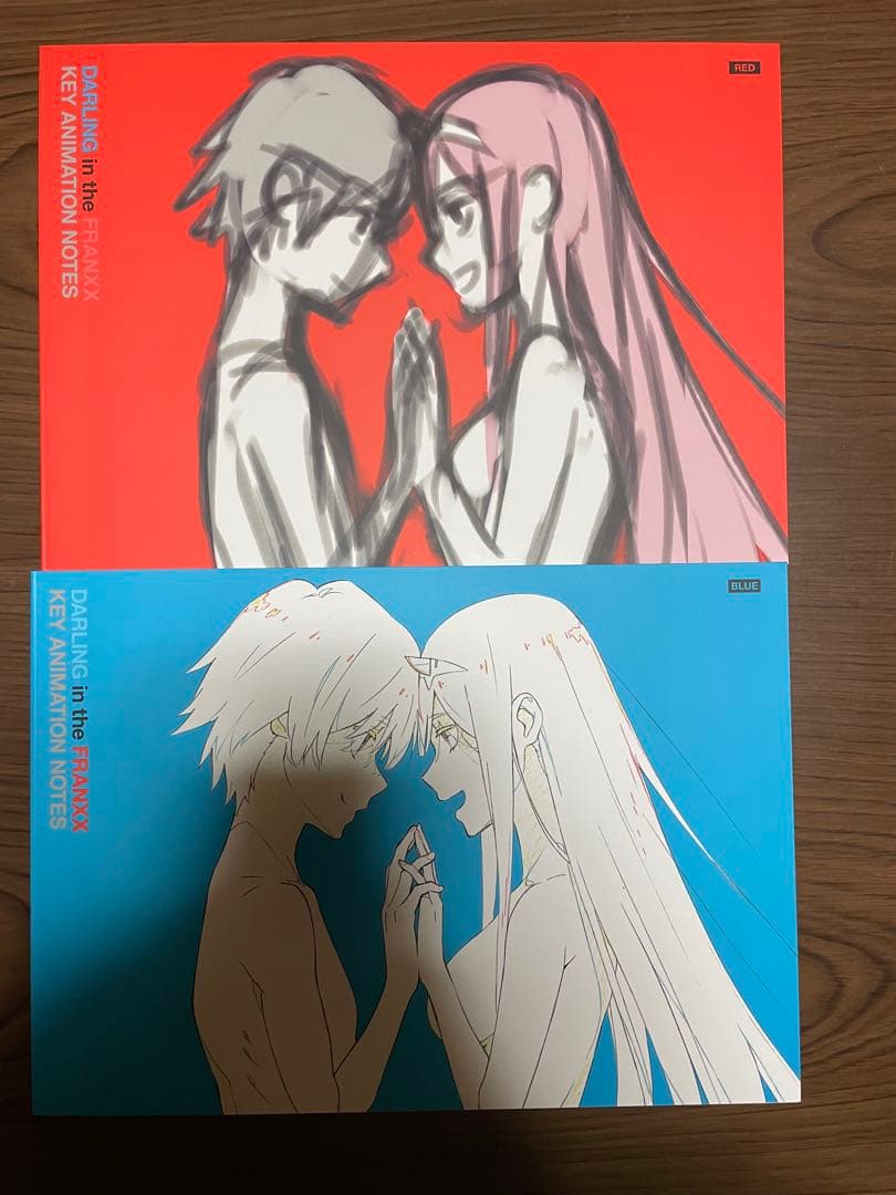 その他 DARLING in the FRANXX KEY ANIMATIONNOTES