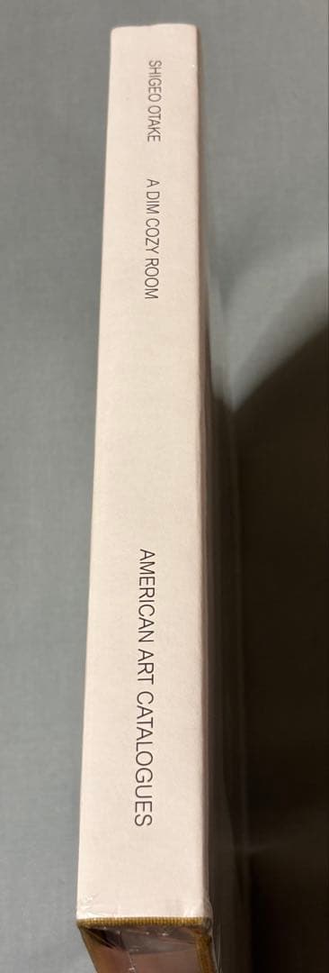 大竹茂夫 SHIGEO OTAKE　A DIM COZY ROOM