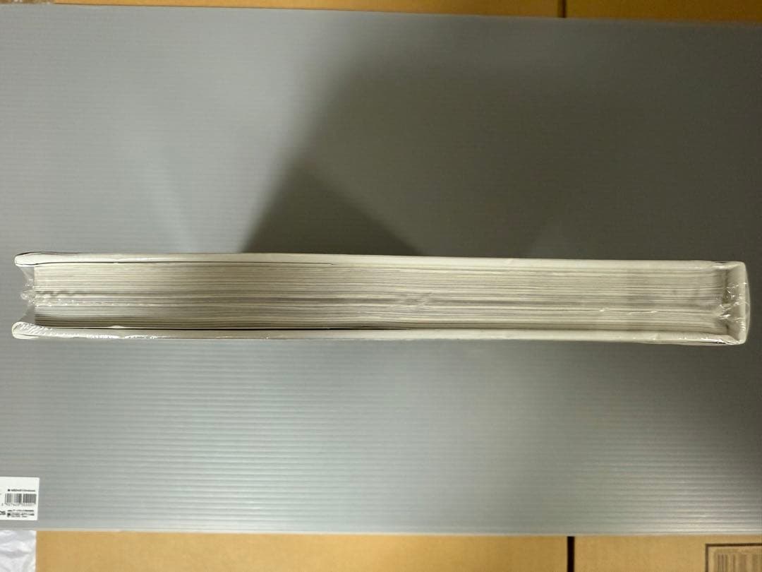 T-ARA★TARA'S FREE TIME IN EUROPE★未開封新品