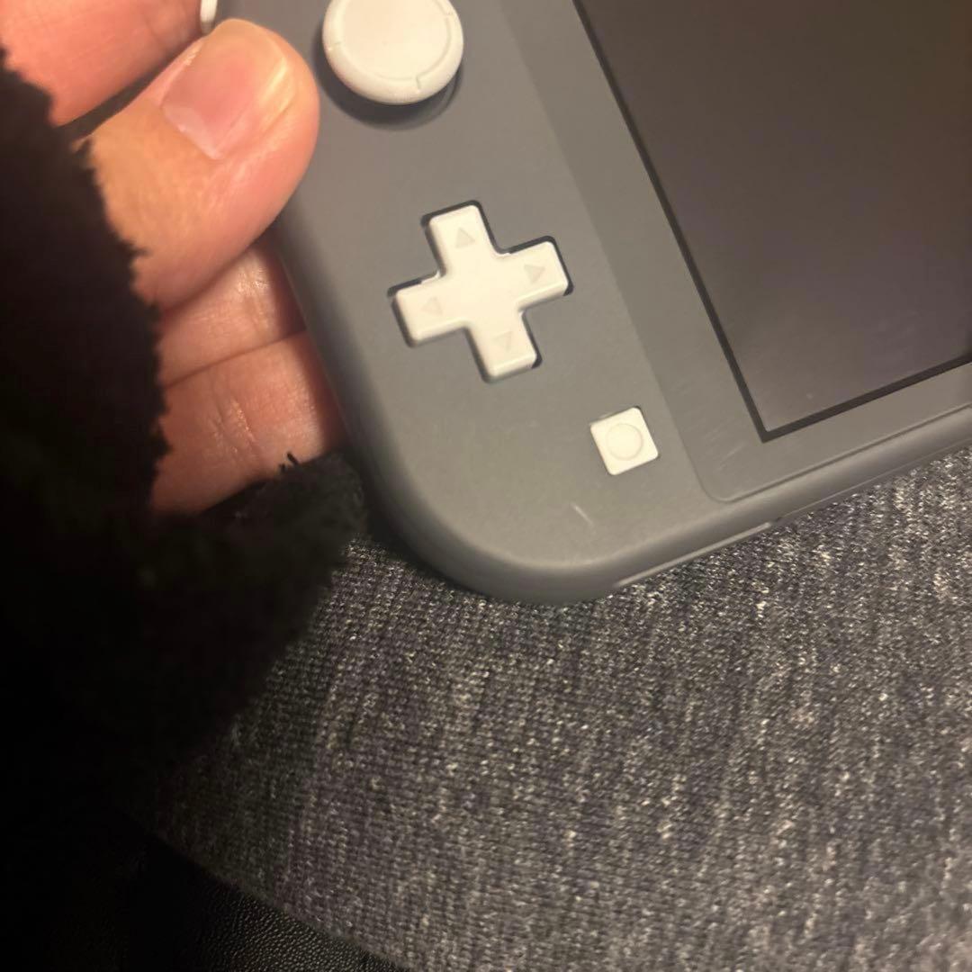 Nintendo Switch Lite グレー 充電アダプタ付き
