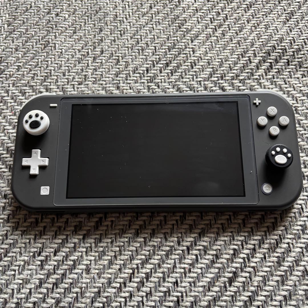 Nintendo Switch Lite グレー 充電アダプタ付き
