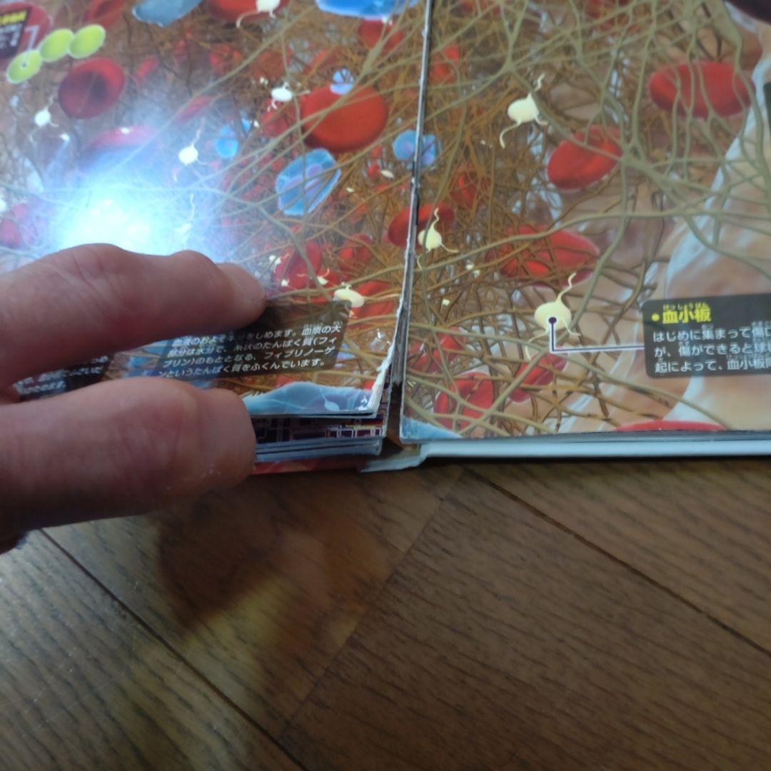 図鑑 move セット まとめ売り 15冊 DVD付き 講談社