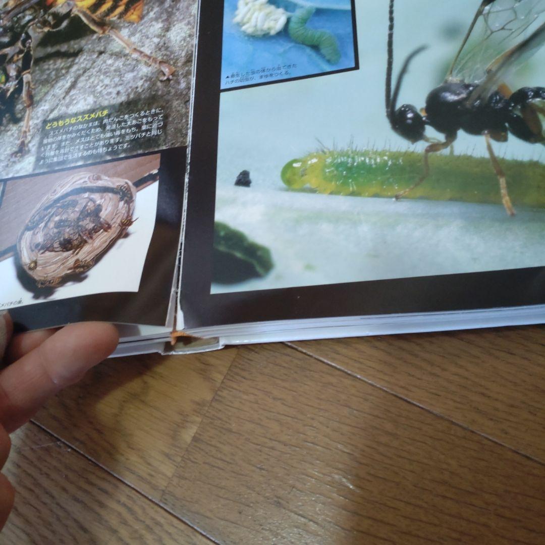 図鑑 move セット まとめ売り 15冊 DVD付き 講談社