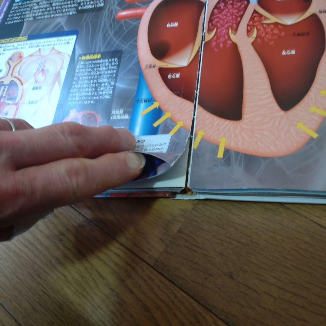 図鑑 move セット まとめ売り 15冊 DVD付き 講談社