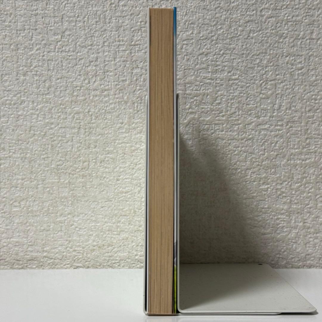 【ヤケあり】ルーンファクトリー2 流れ星とセシリア