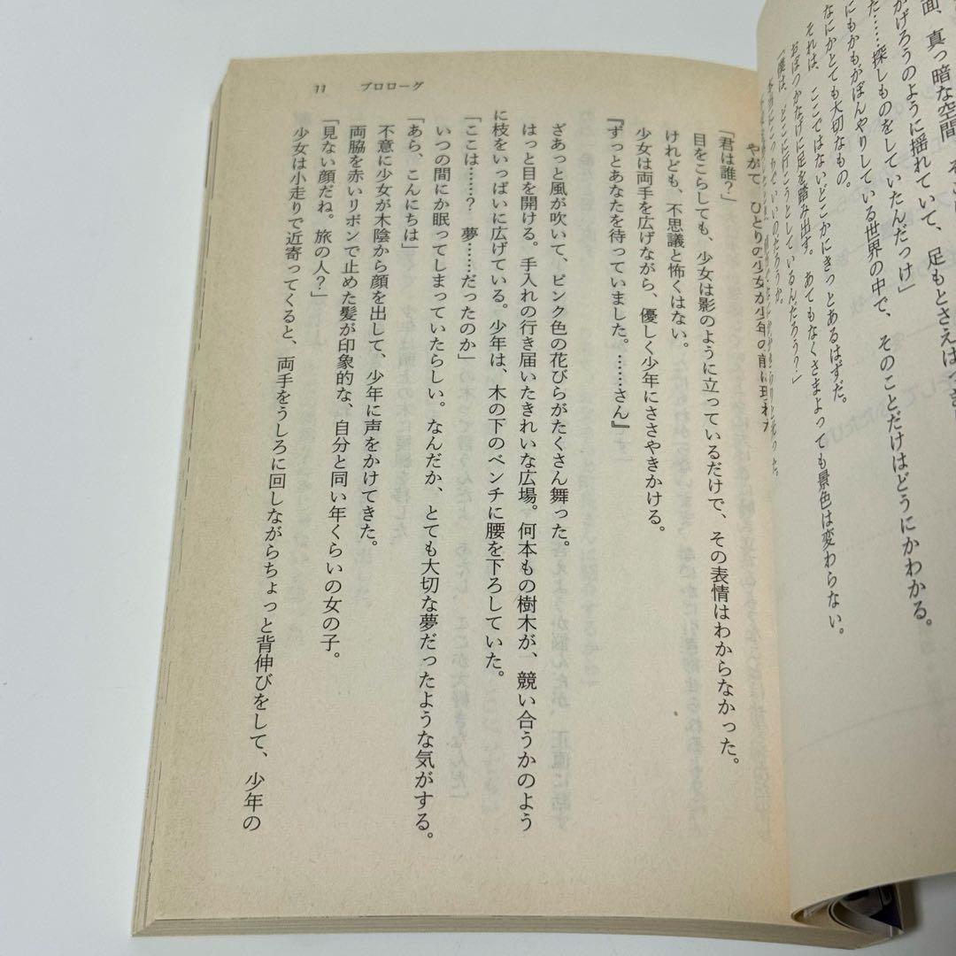 【ヤケあり】ルーンファクトリー2 流れ星とセシリア