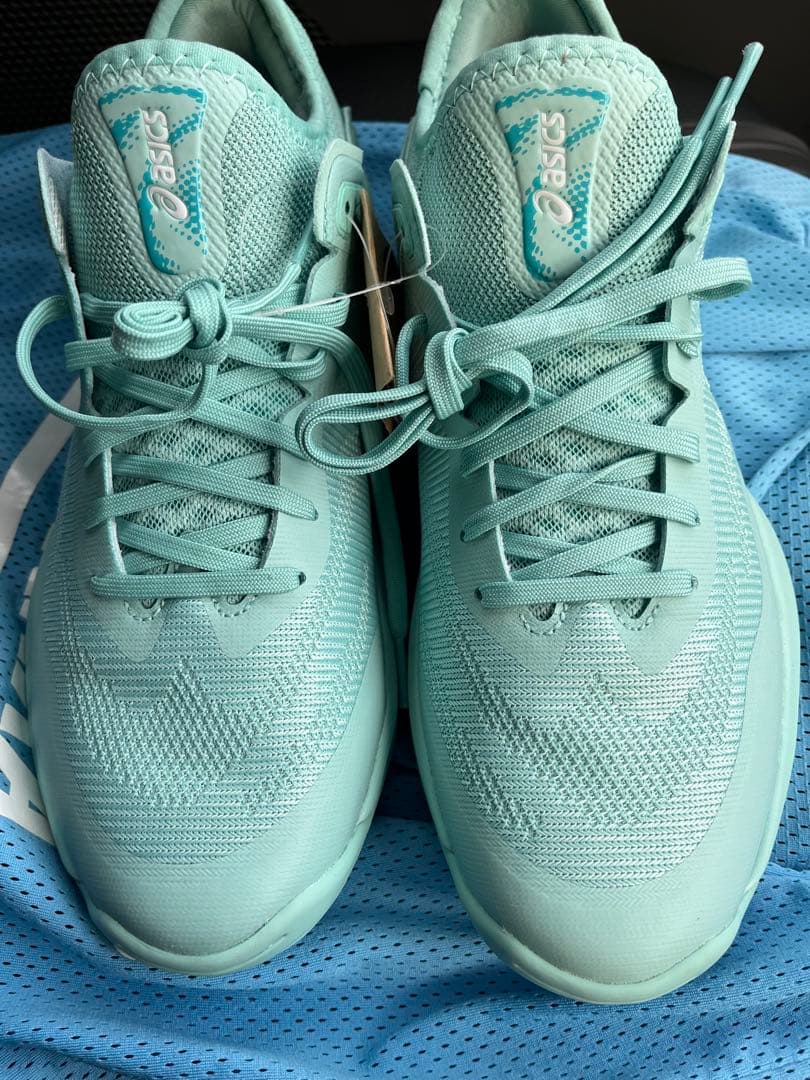 アシックス GLIDE NOVA FF 3 27.0