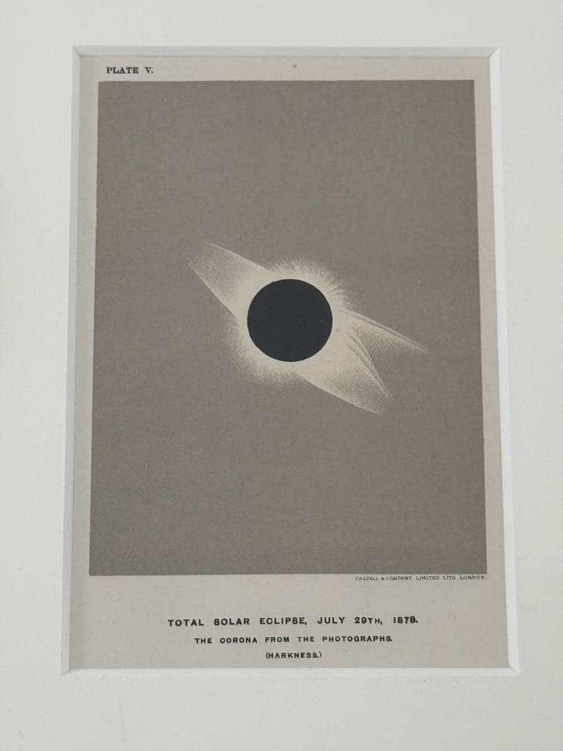 casica オーク素材　アートフレーム