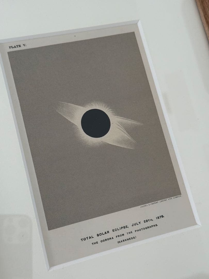 casica オーク素材　アートフレーム