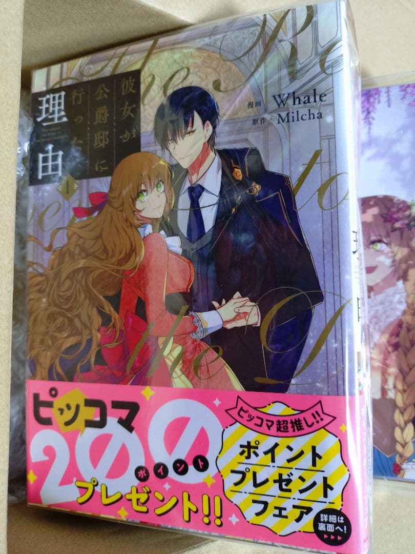 彼女が公爵邸に行った理由 全巻セット（1-14巻）