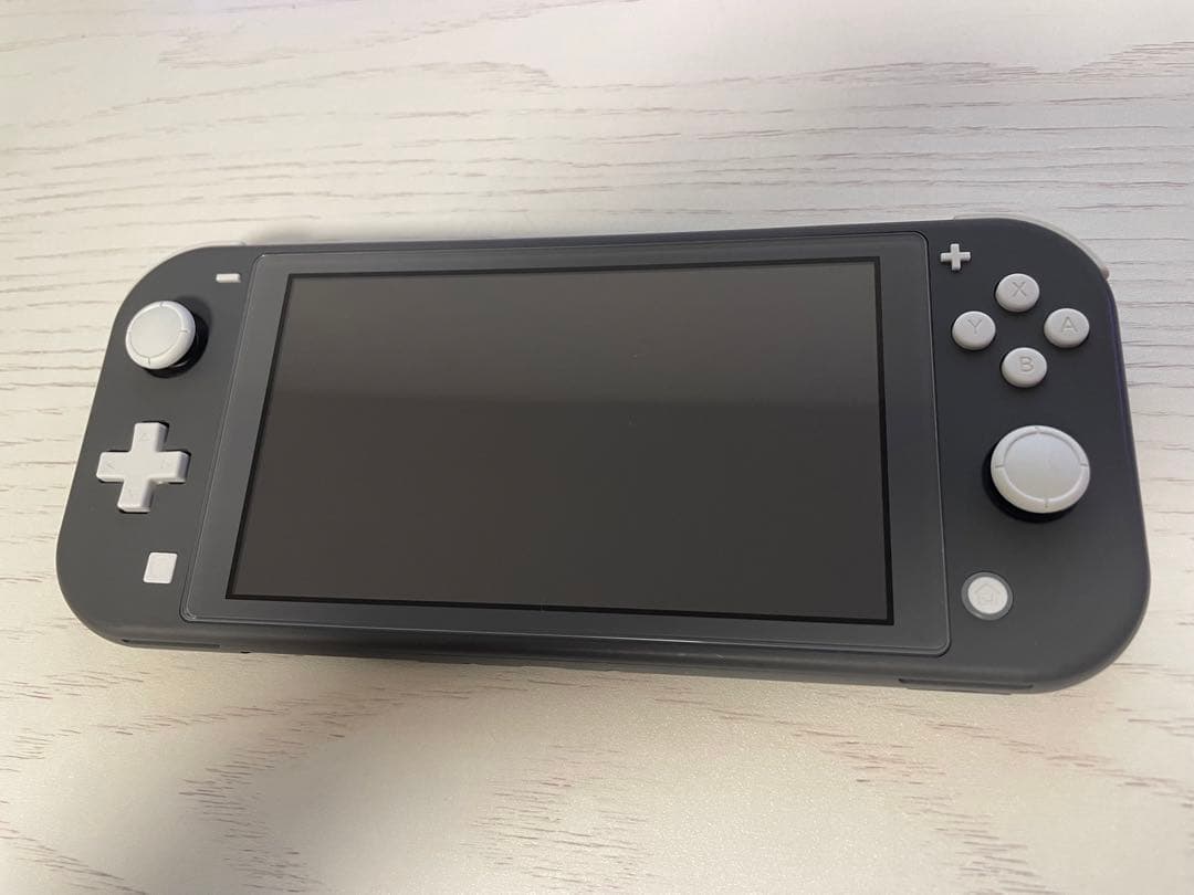 Nintendo Swich Lite ブラック　カバー、保護フィルム付