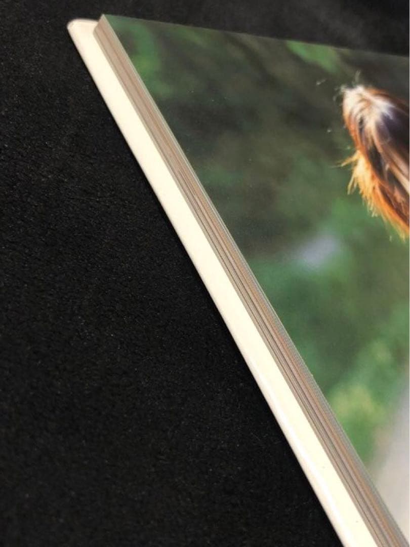 梅本静香 榊原徹司 発芽 ポートレート