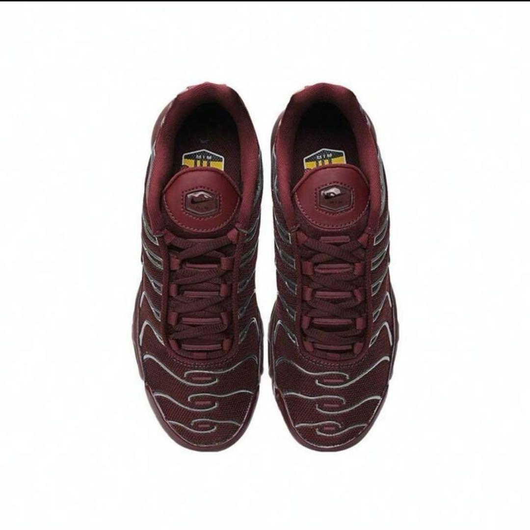 靴 NIKE AIR MAX PLUS SE