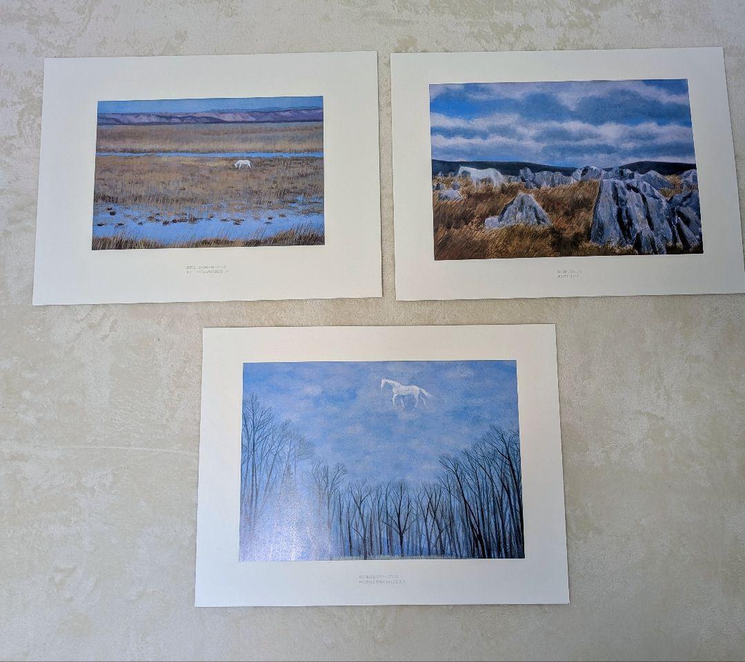 東山魁夷 作品集 『白馬幻想』日本経済新聞社 1990年