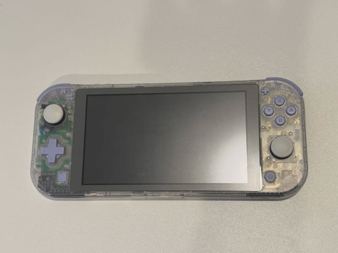 Switchライト　カスタムモデル　本体のみ