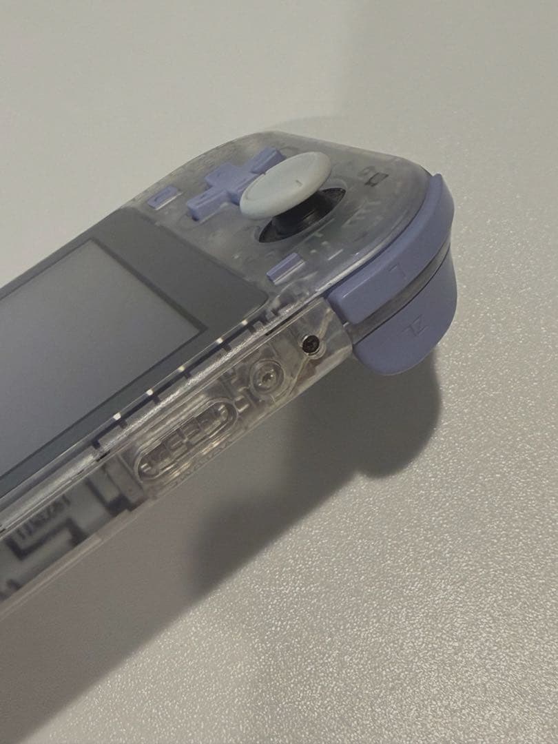 Switchライト　カスタムモデル　本体のみ