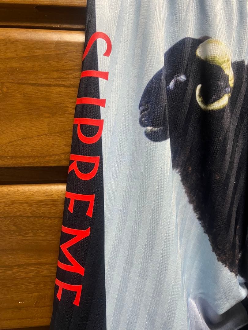パンツ Supreme Damien Hirst Soccer Short Black