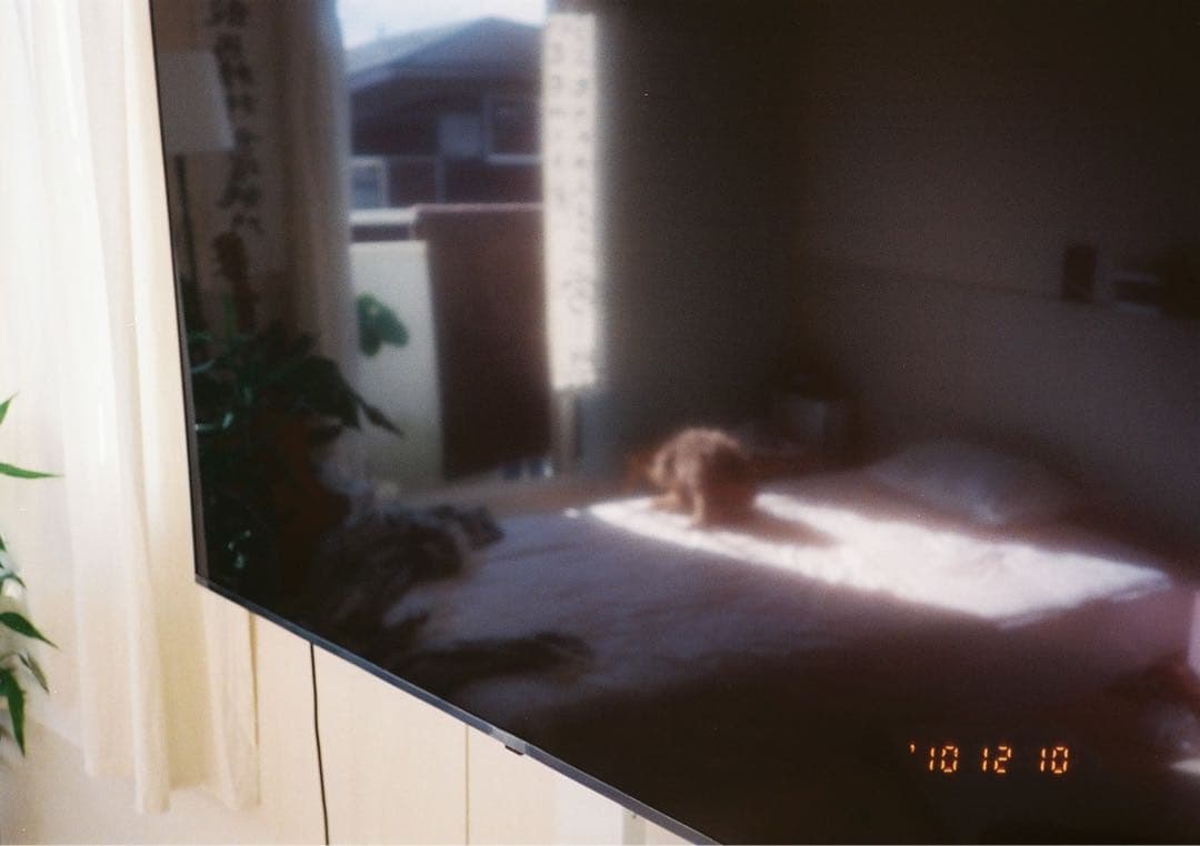 S*Y様 LG 55V型 UHD液晶テレビ