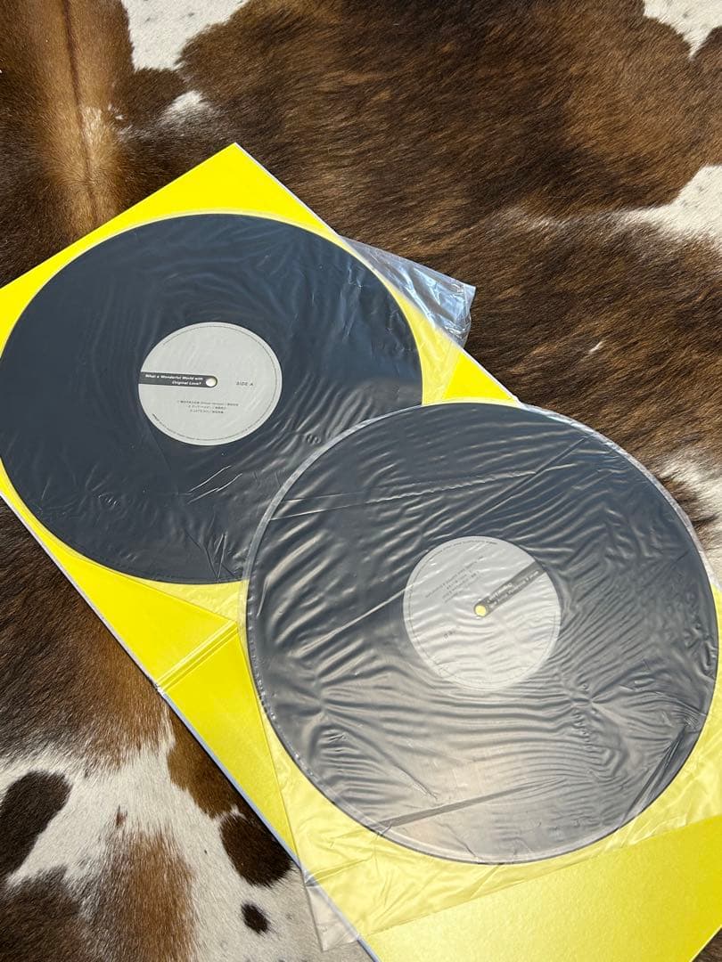 限定盤 What a Wonderful World with Original