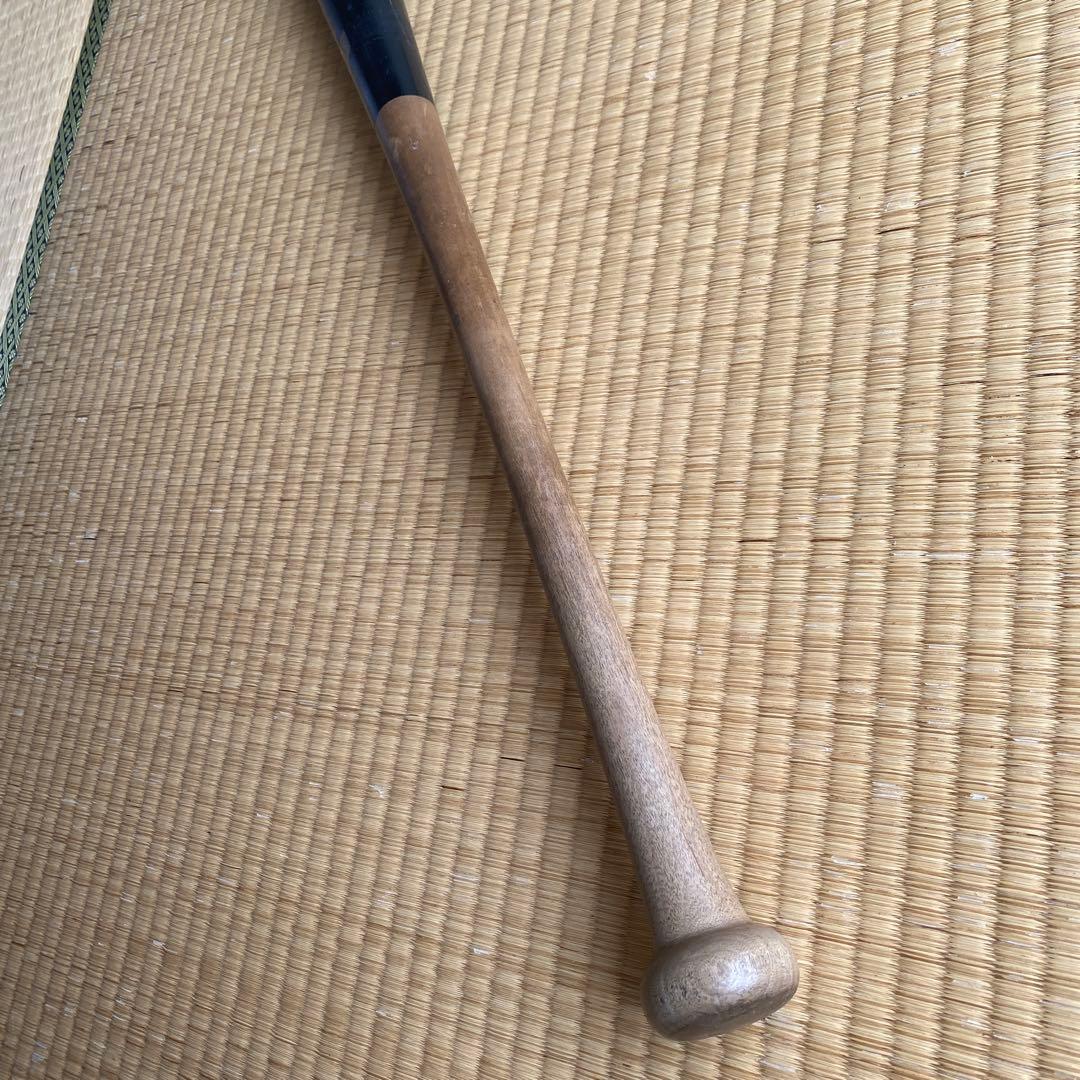 Mizuno 硬式用プロフェッショナル　84cm 平均890g